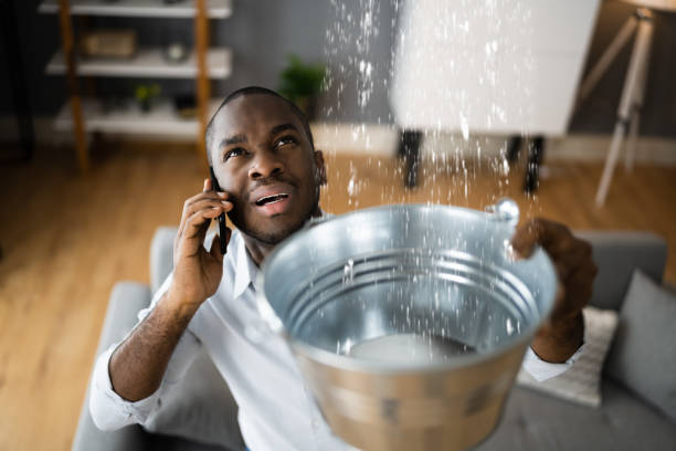 Best 24/7 water damage repair  in Browntown, PA