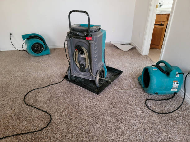 Best 24/7 water damage repair  in Browntown, PA