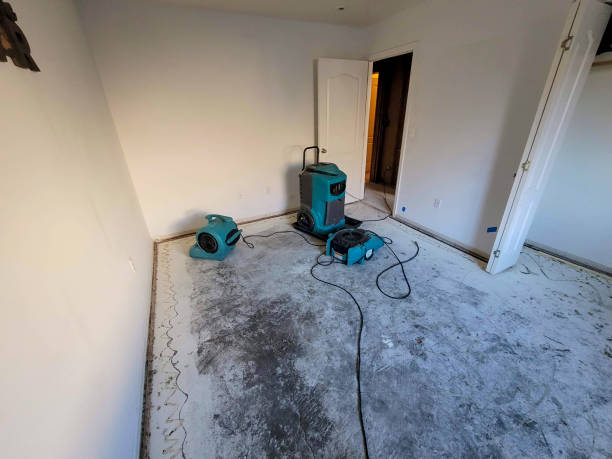 Best Water damage mitigation services  in Browntown, PA