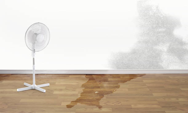 Best Water damage contractors near me  in Browntown, PA