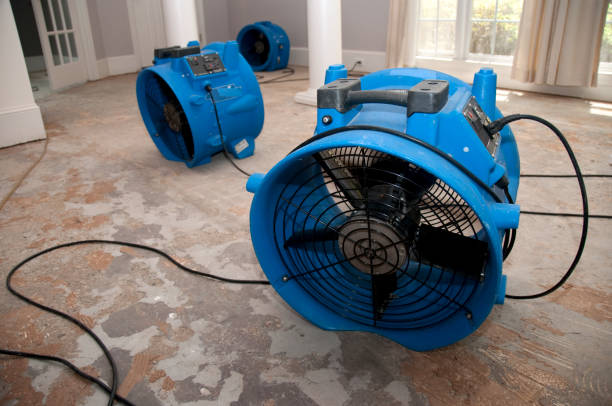 Best 24-hour water damage restoration  in Browntown, PA