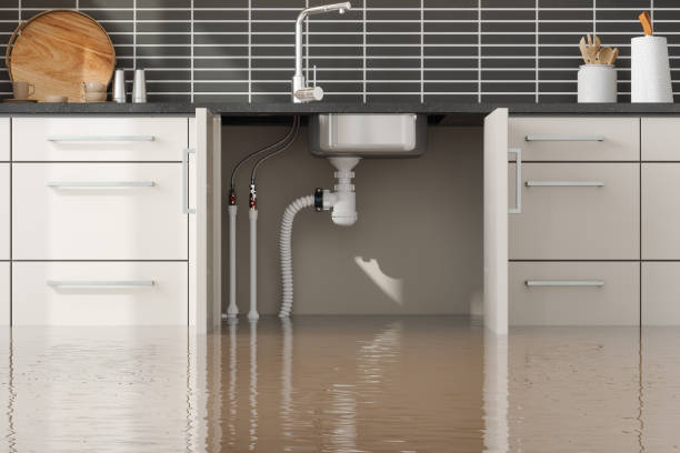 Best Flooded house restoration  in Browntown, PA