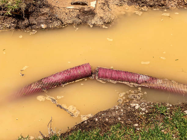 Best Residential water damage restoration  in Browntown, PA
