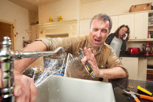 Best Water damage restoration company  in Browntown, PA